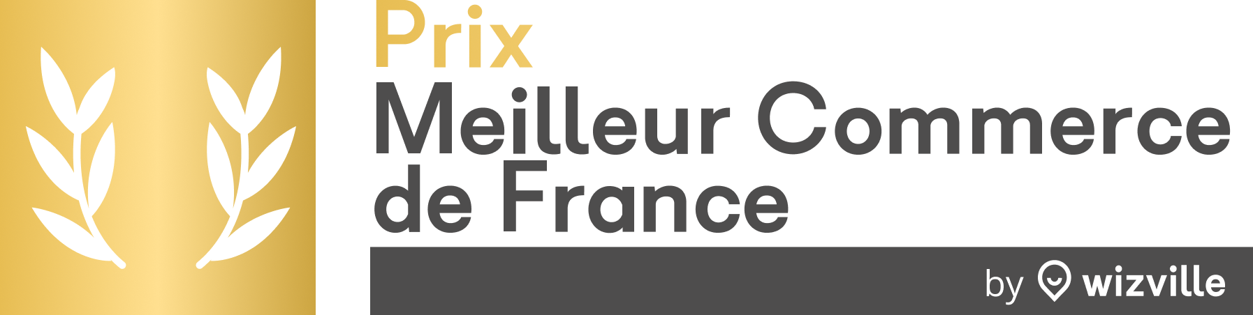 Logo_3_V2_MCF